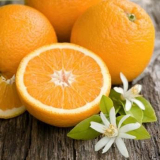 Servítka na Decoupage  - Pomaranče 