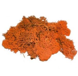 Islandský aranžérsky mach, 30g - Oranžový