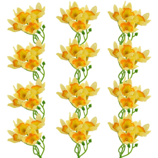 Narcis hlávky 4cm/12ks - Žlto oranžový