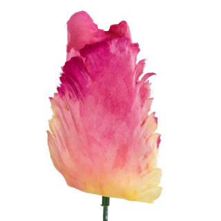 Tulipán hlava 9cm - Krémovo ružový 